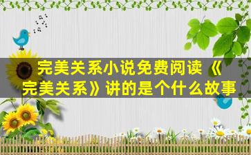 完美关系小说免费阅读 《完美关系》讲的是个什么故事
